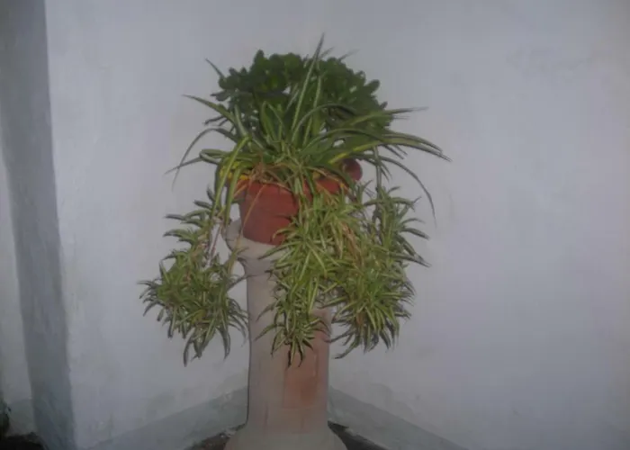 בית נופש Raggio Di Sole