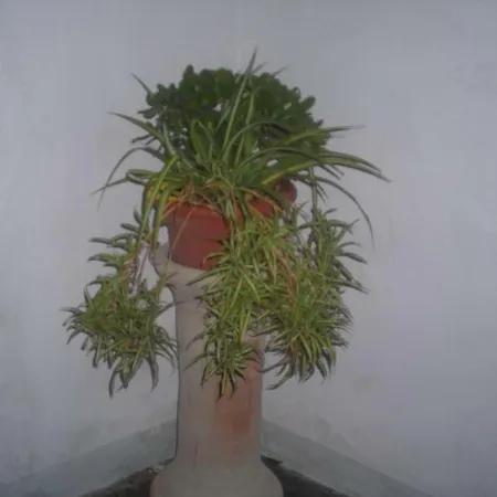 Casa vacanze Raggio Di Sole